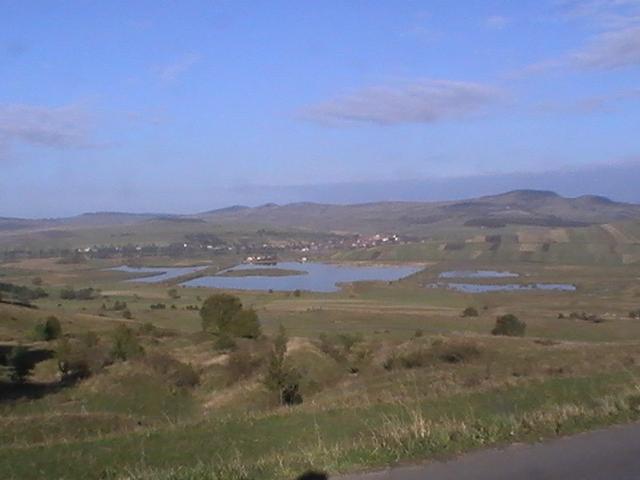 la crap - pic3719.JPG